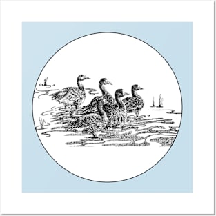 Greater White Fronted Geese pen and ink Posters and Art